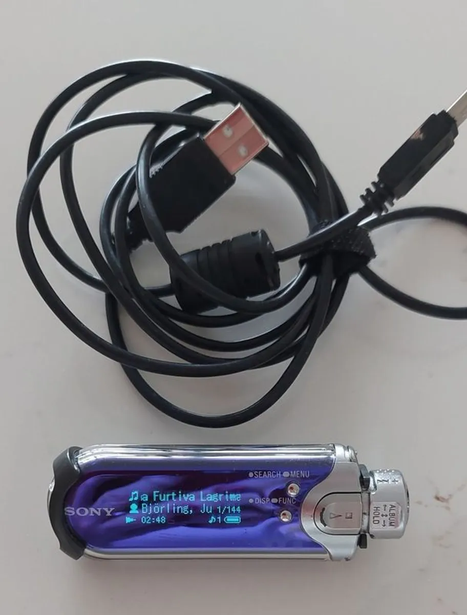 Sony Walkman NWA608  Audio Player 2GB rechargeable - Image 1