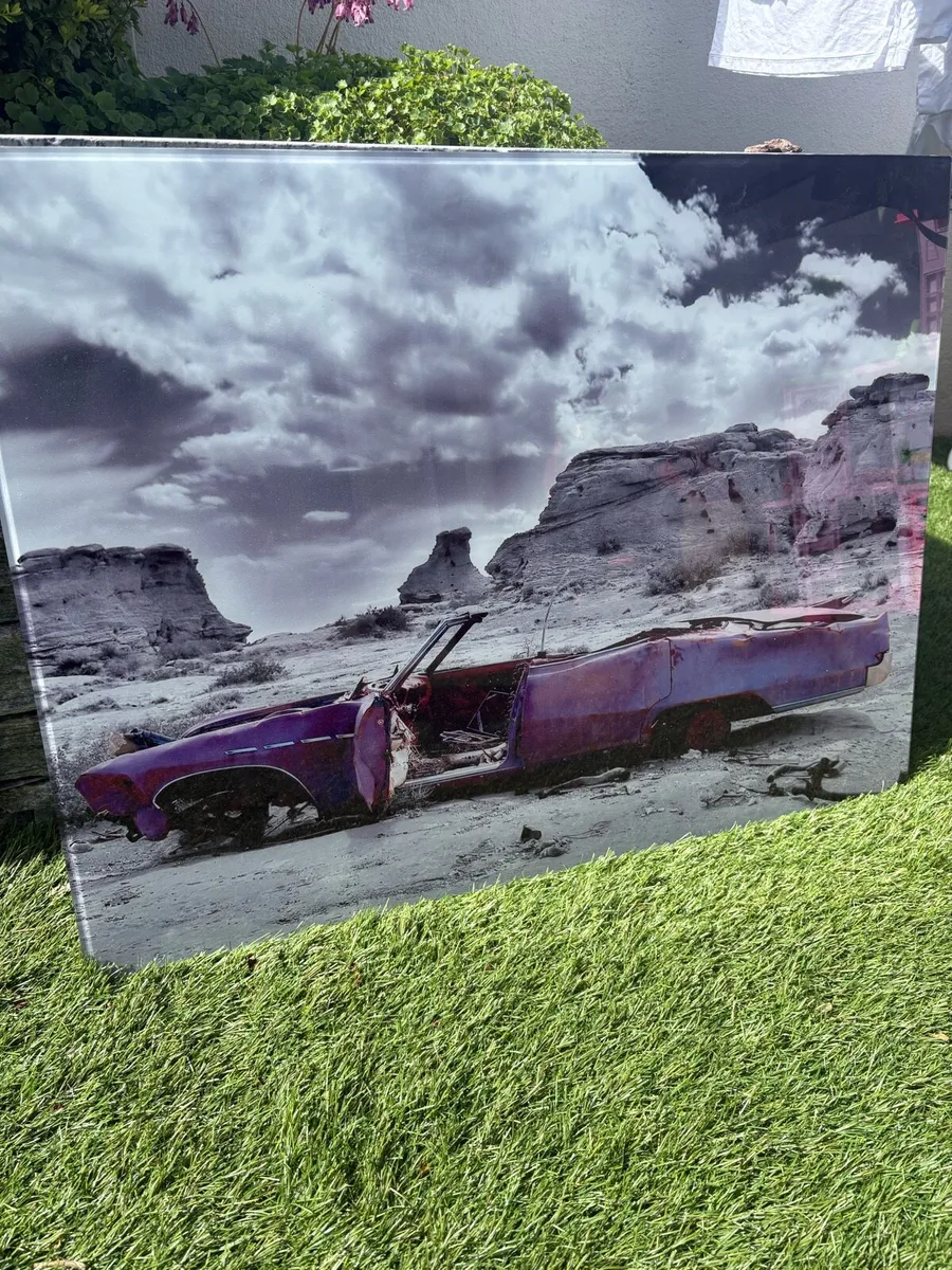 Glads wall art - Image 1