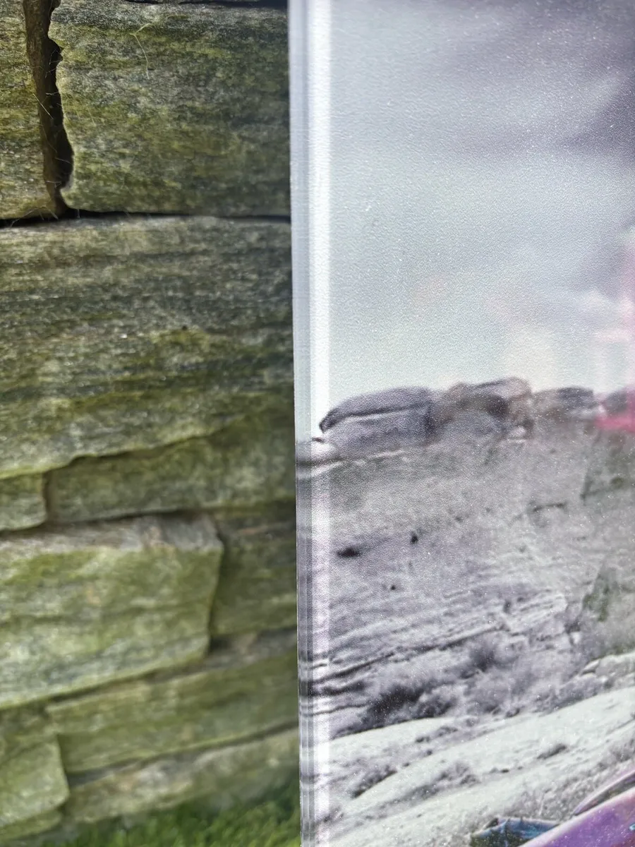 Glads wall art - Image 2