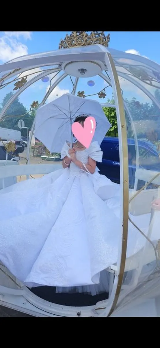 My fairy god mother communion dress - Image 4