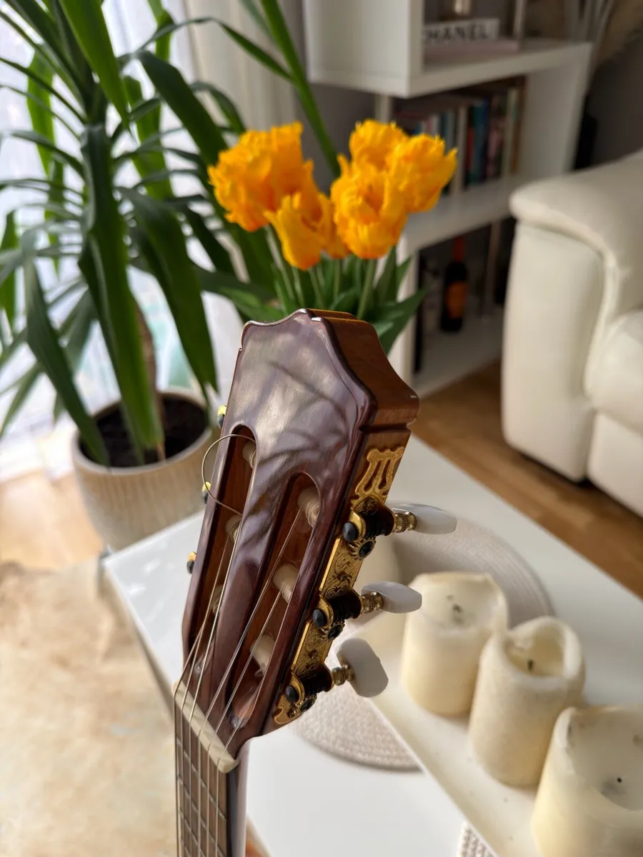 Cordoba Cadete classical guitar - Image 2