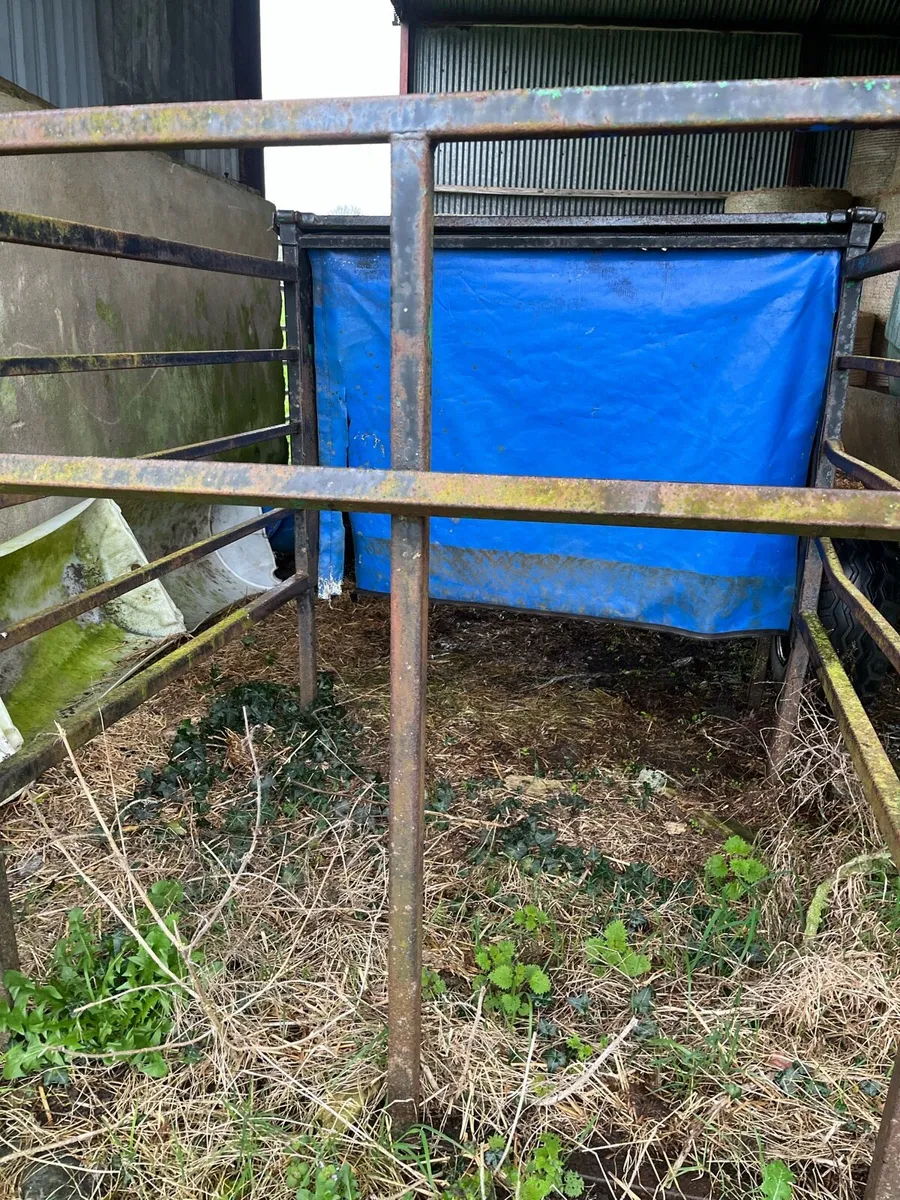 Meal feeder - Image 1