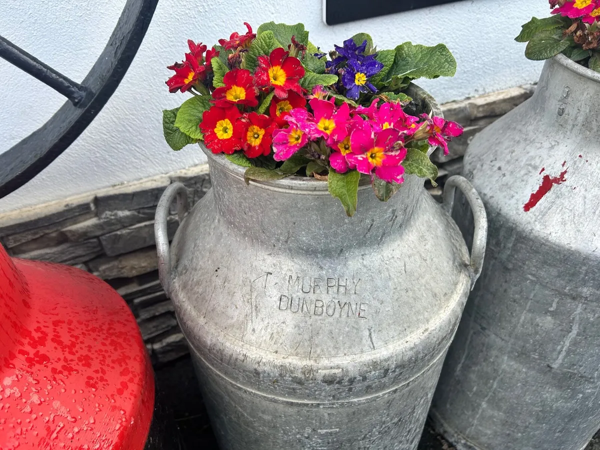 Garden ornaments - Image 1