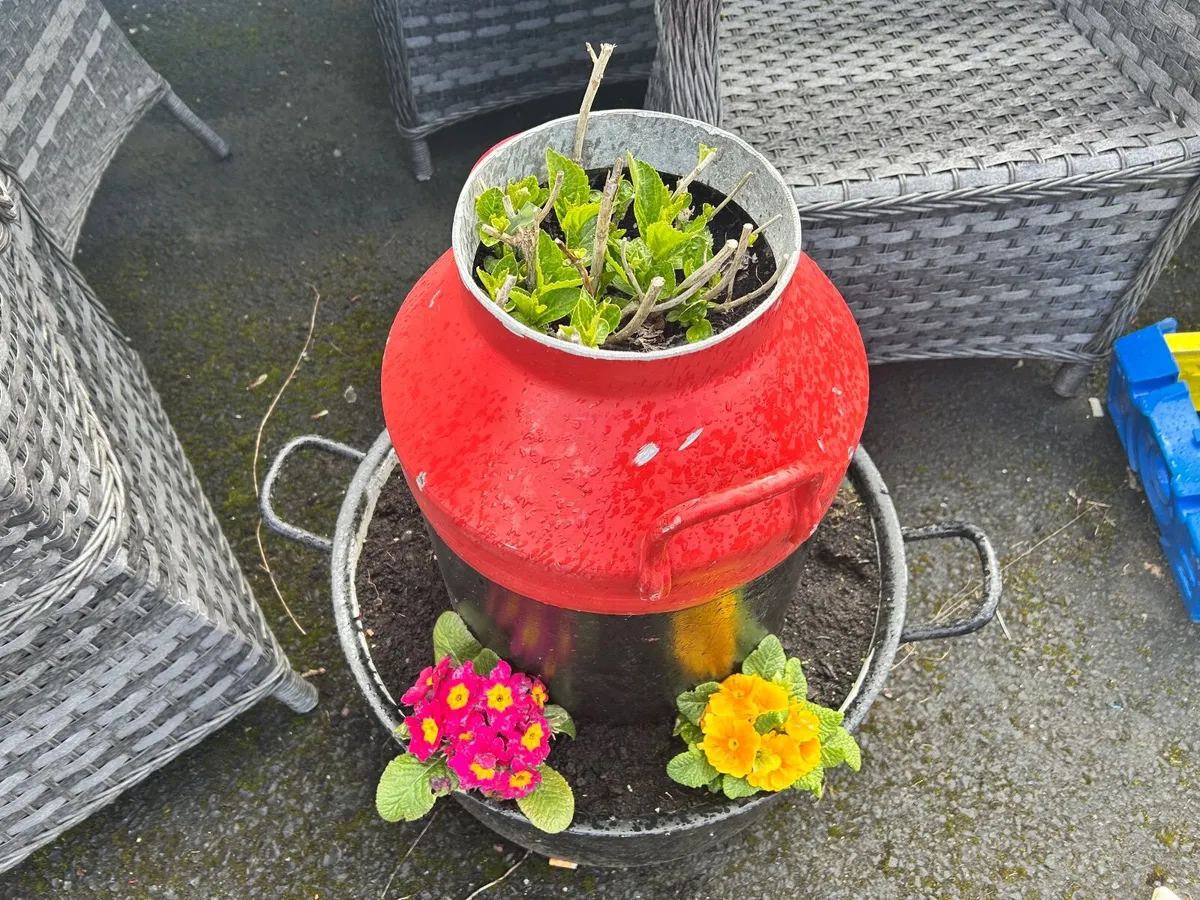 Garden ornaments - Image 2