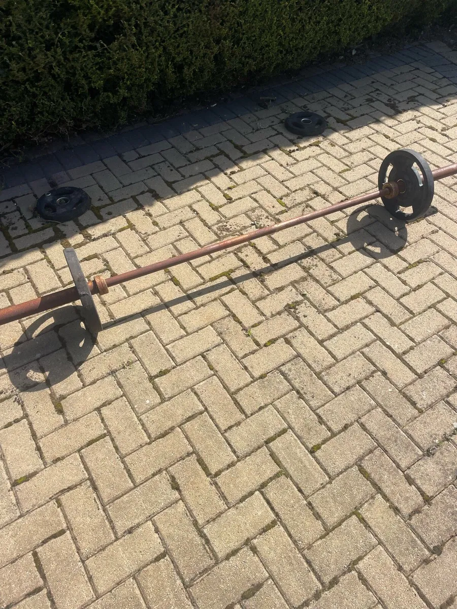 20kg barbell