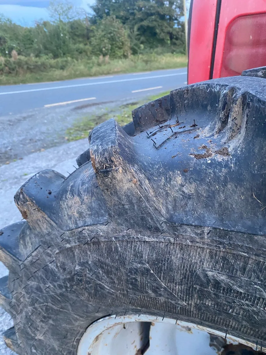 Massey Ferguson 6465 - Image 4