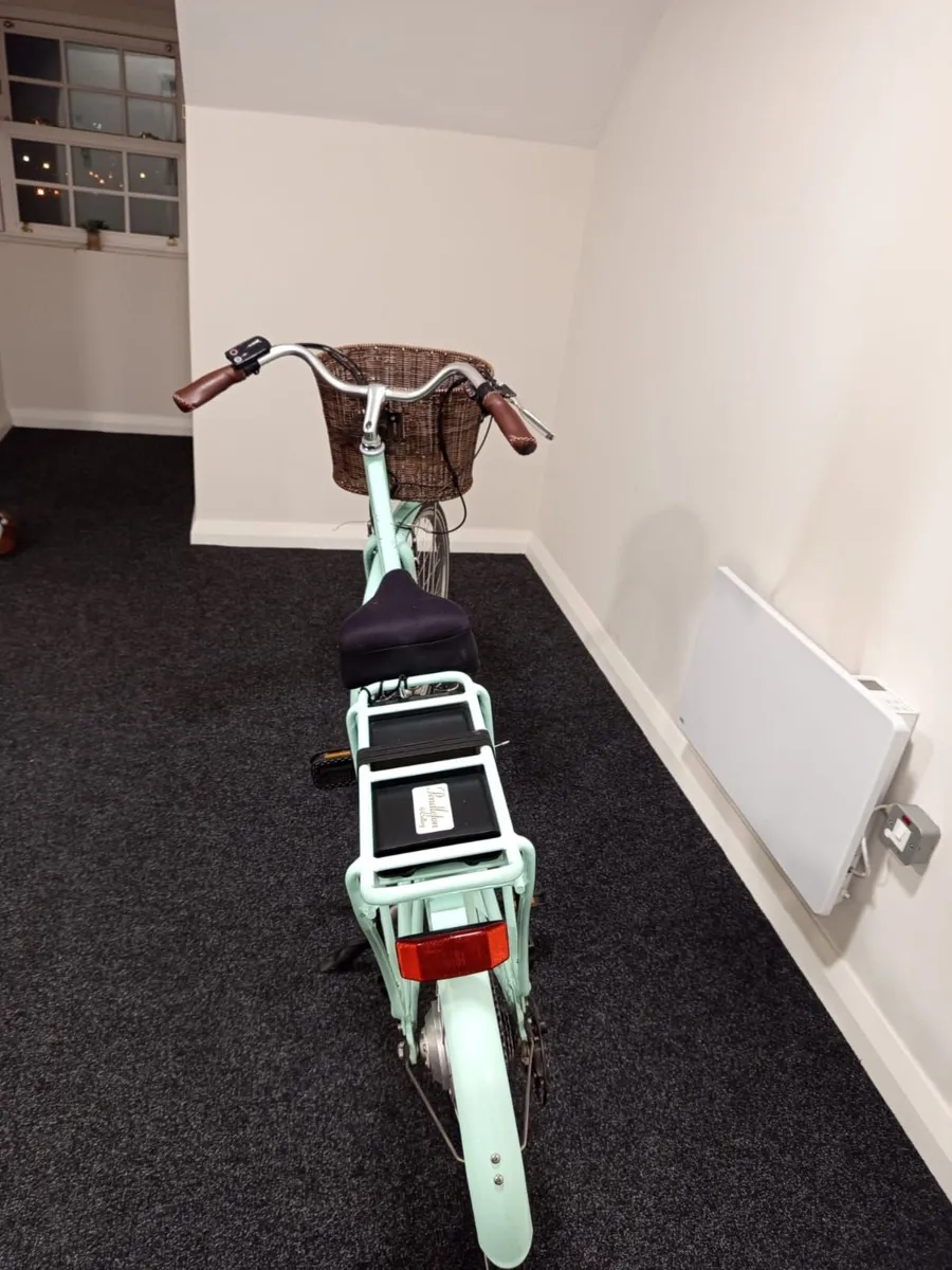 Electric bike - Image 2