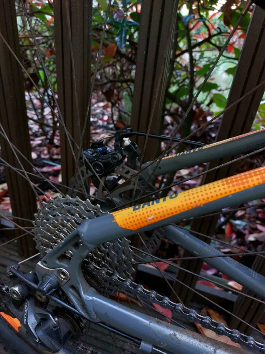 Voodoo bantu - Image 4