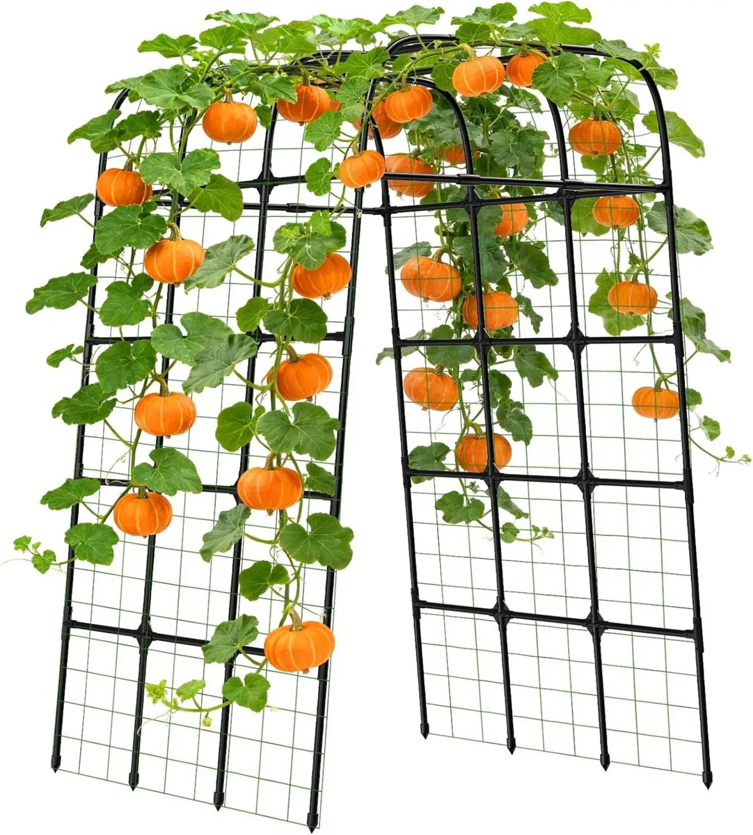Garden Trellis Arch 210cm PP-Coated Stainless - Image 1