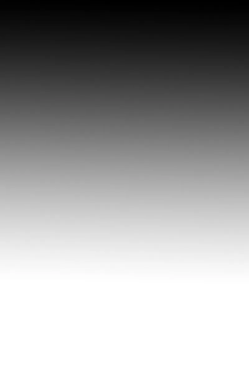 Black to white graduated vinyl photo background - Image 2