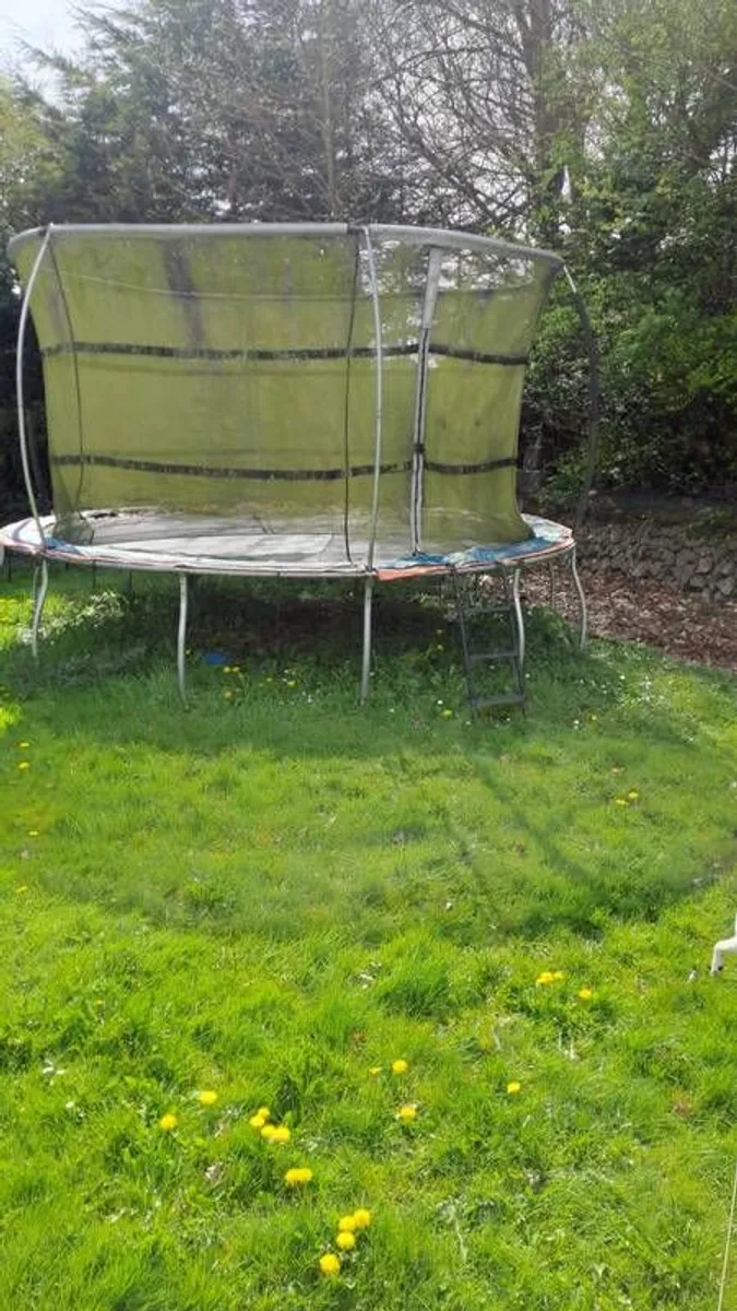 Trampoline - Image 2