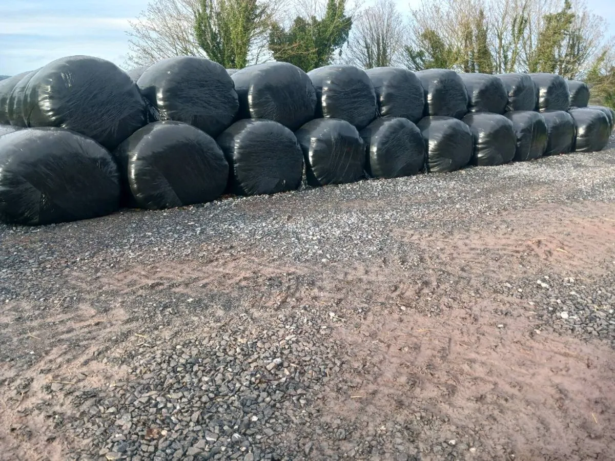 Silage Bales - Image 2