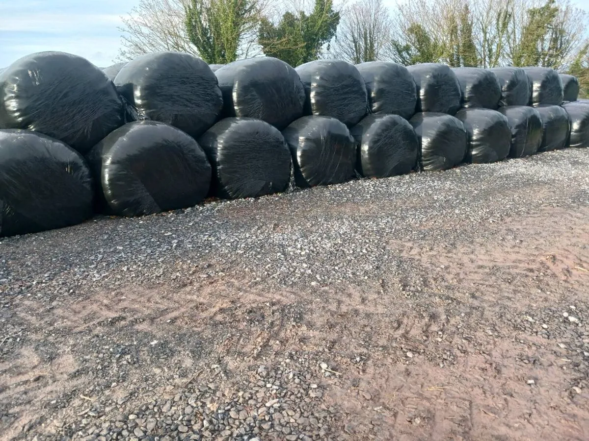 Silage Bales - Image 1