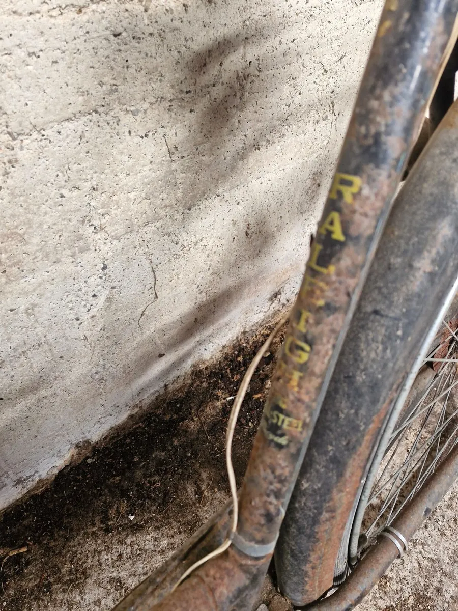 Raleigh Bicycle - Image 3