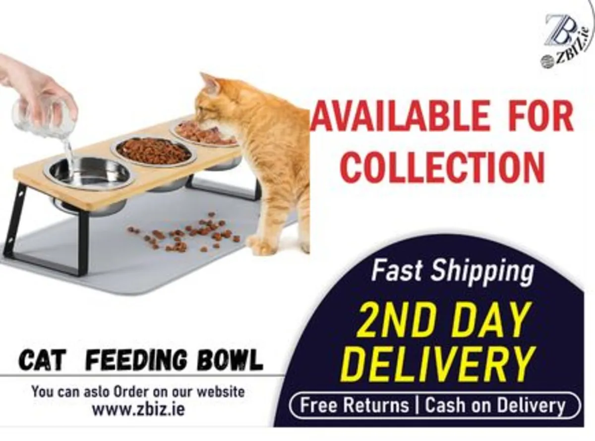 Cat Feeding Bowls w/ Stand Mat 3Pcs 500ml Set - Image 1