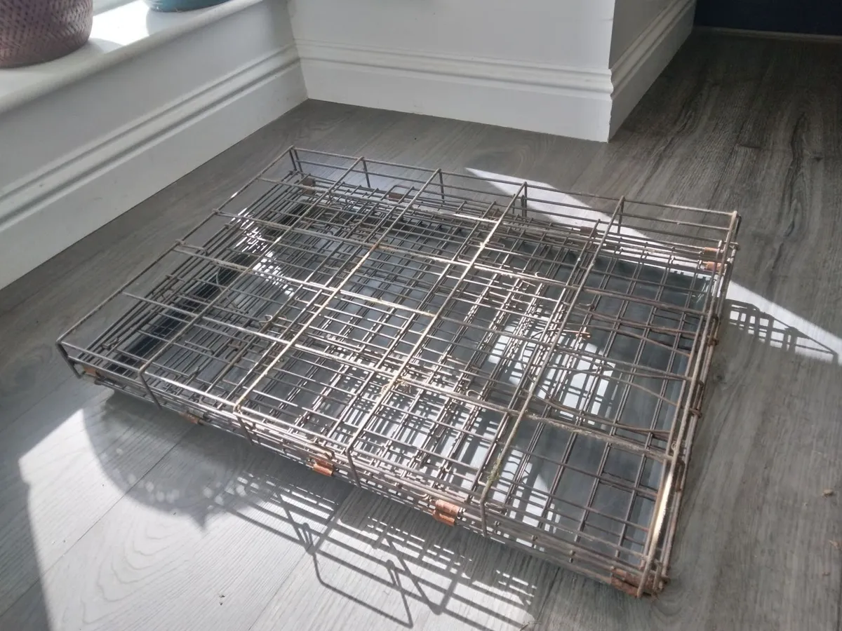 Dog Cage - Image 3