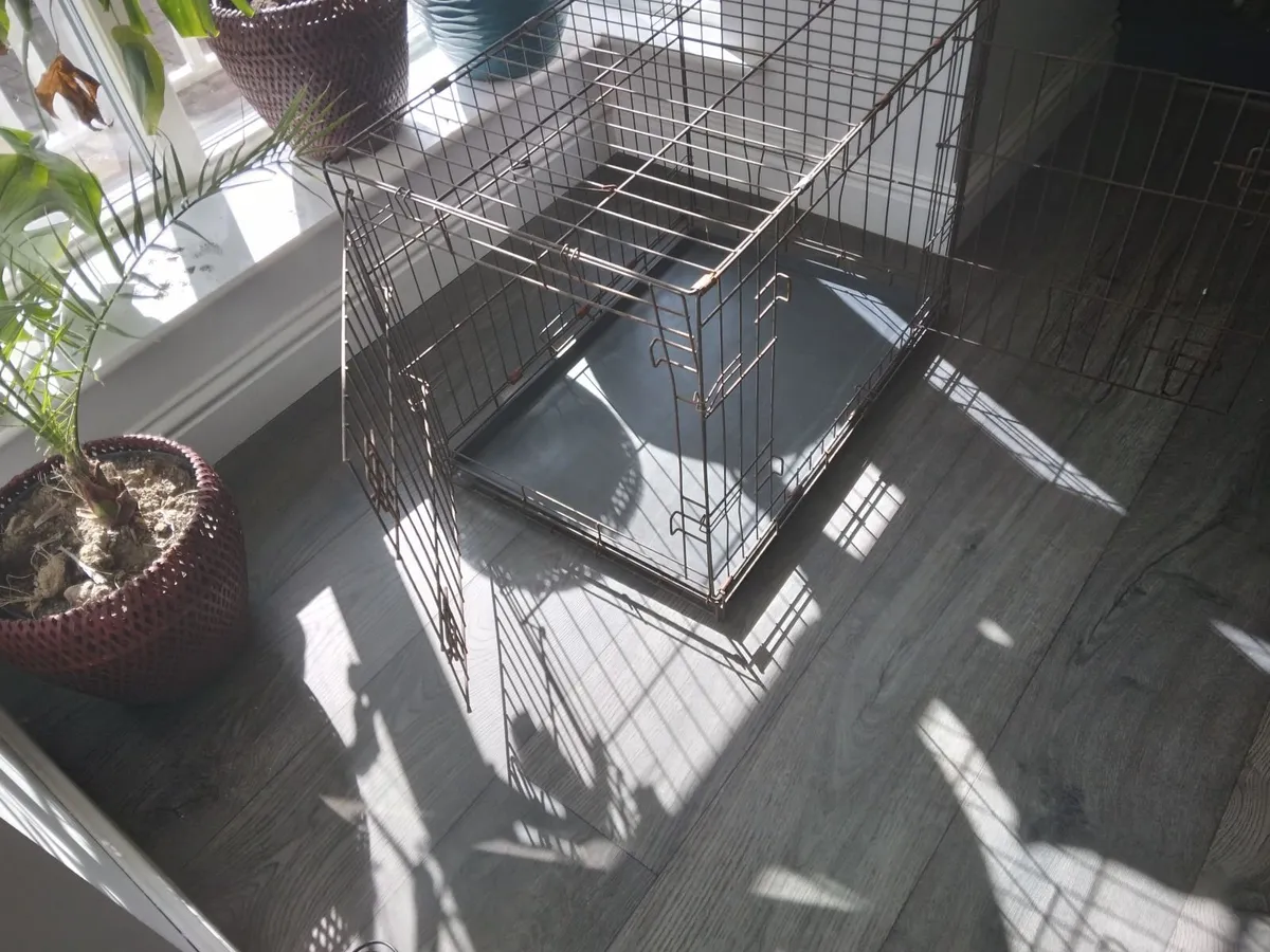 Dog Cage - Image 4