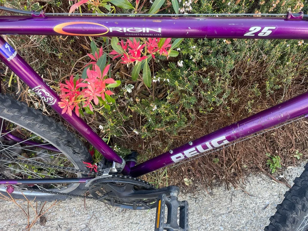 Peugeot Origin- 22” frame 26” wheels €80 - Image 2