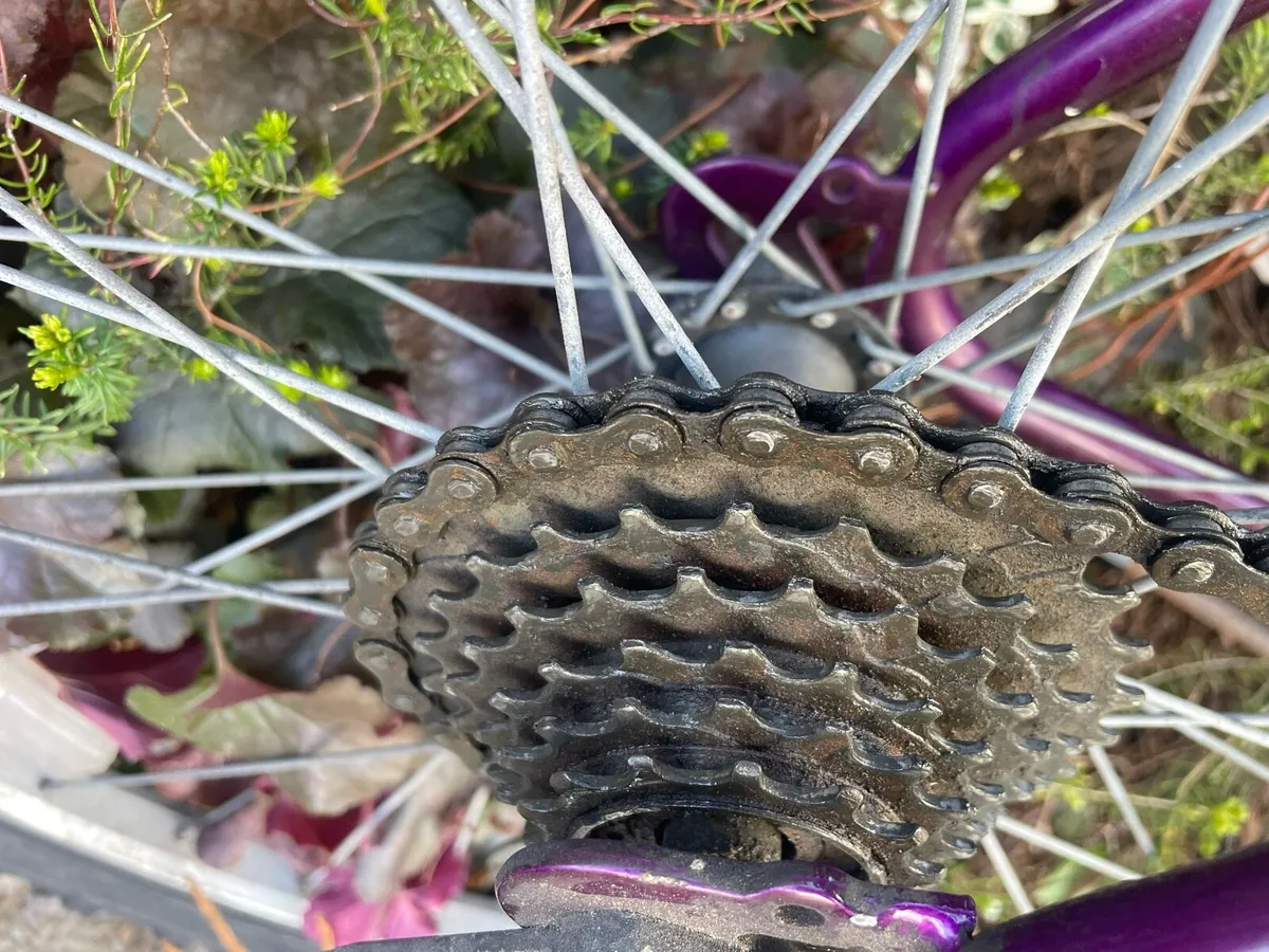 Peugeot Origin- 22” frame 26” wheels €80 - Image 3