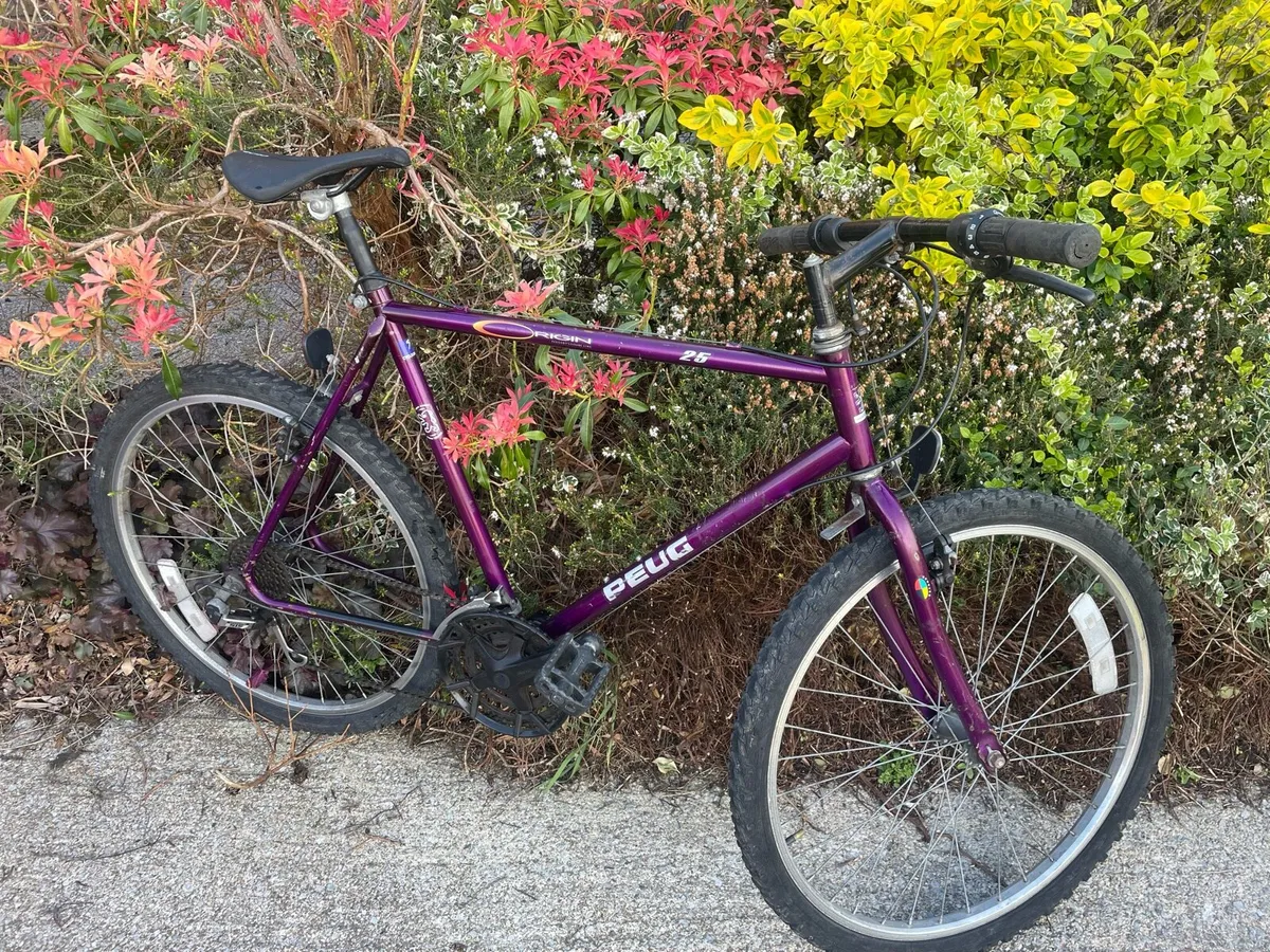 Peugeot Origin- 22” frame 26” wheels €80 - Image 1
