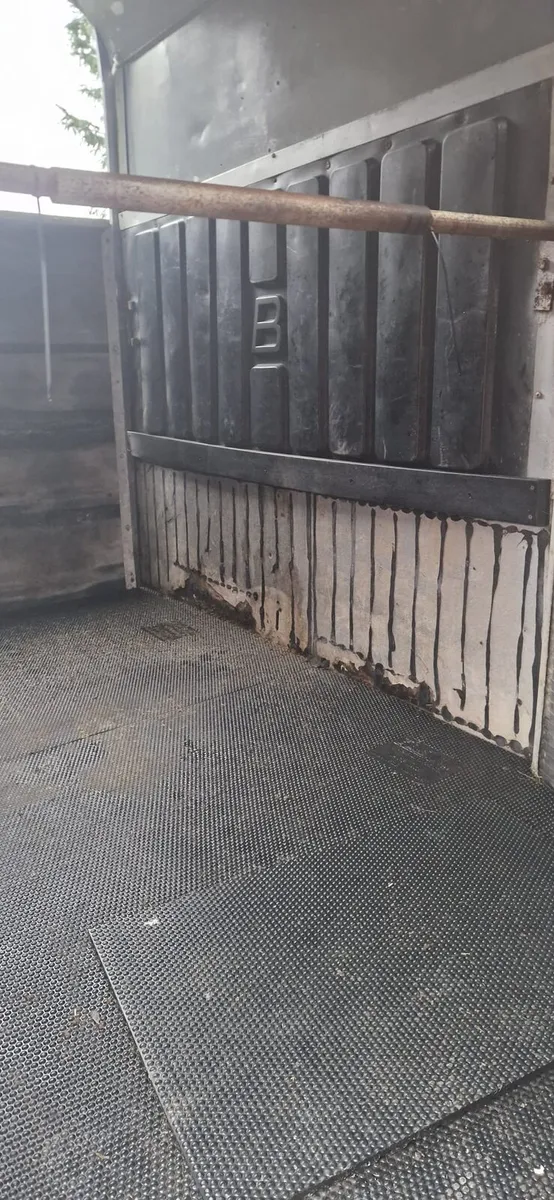 Horse box - Image 3