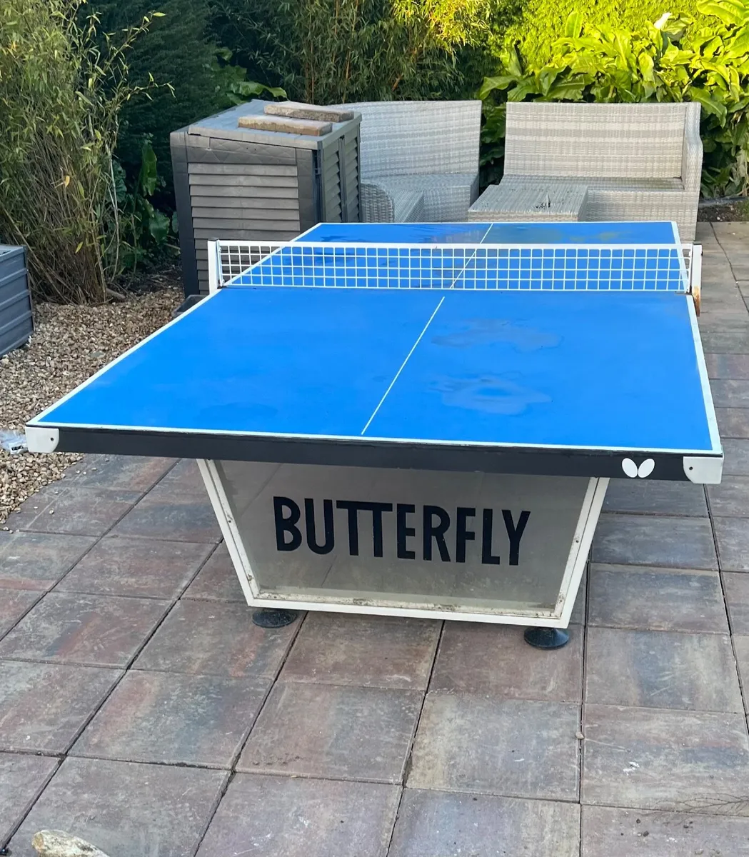 Outdoor Table Tennis Table - Image 2