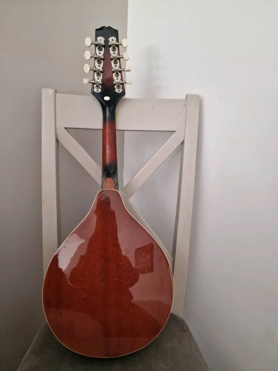 Mandolin - Image 3
