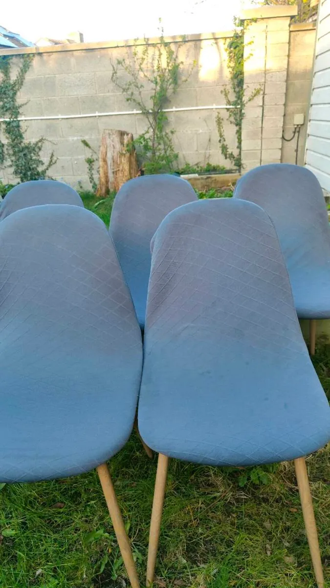Kitchen gray chairs x5 - Image 1