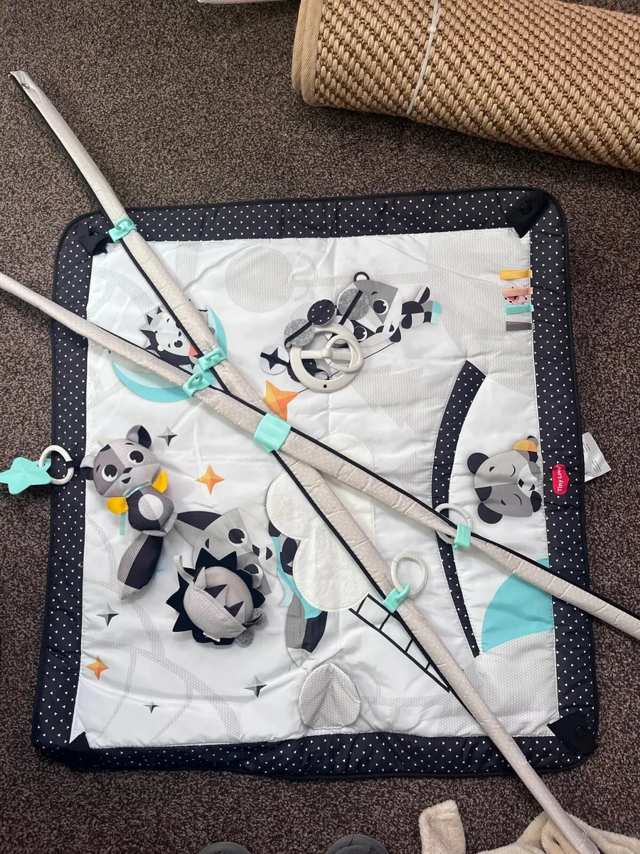Tiny love baby play gym