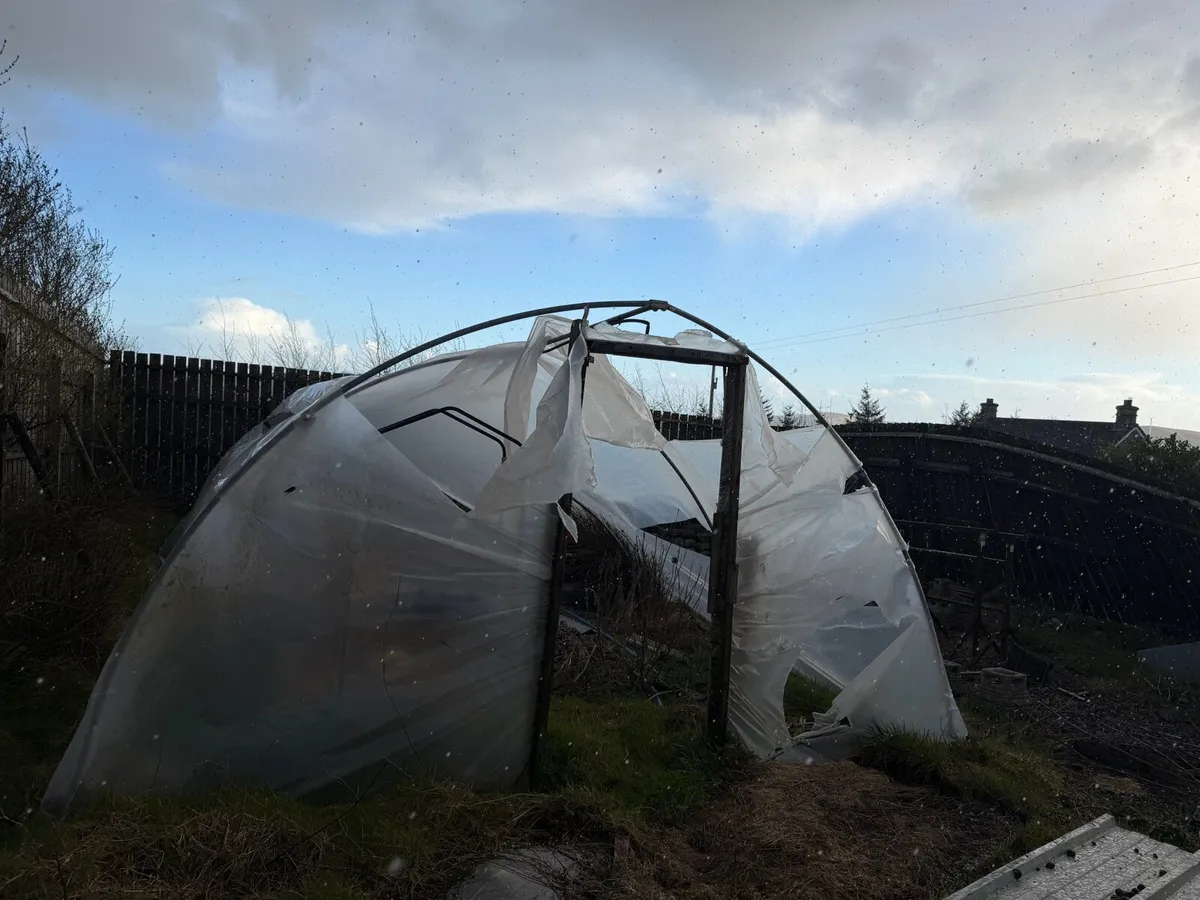 Polly tunnel frame - Image 2