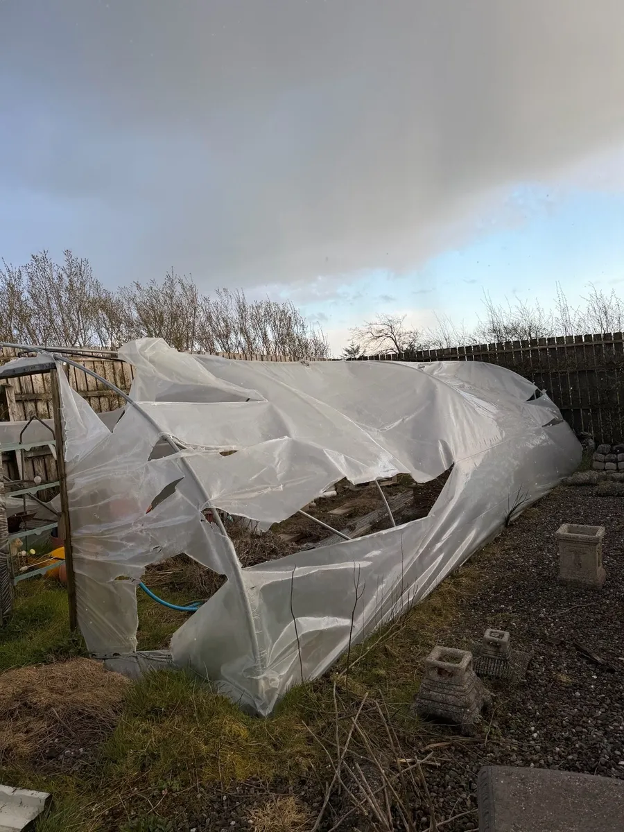 Polly tunnel frame - Image 1