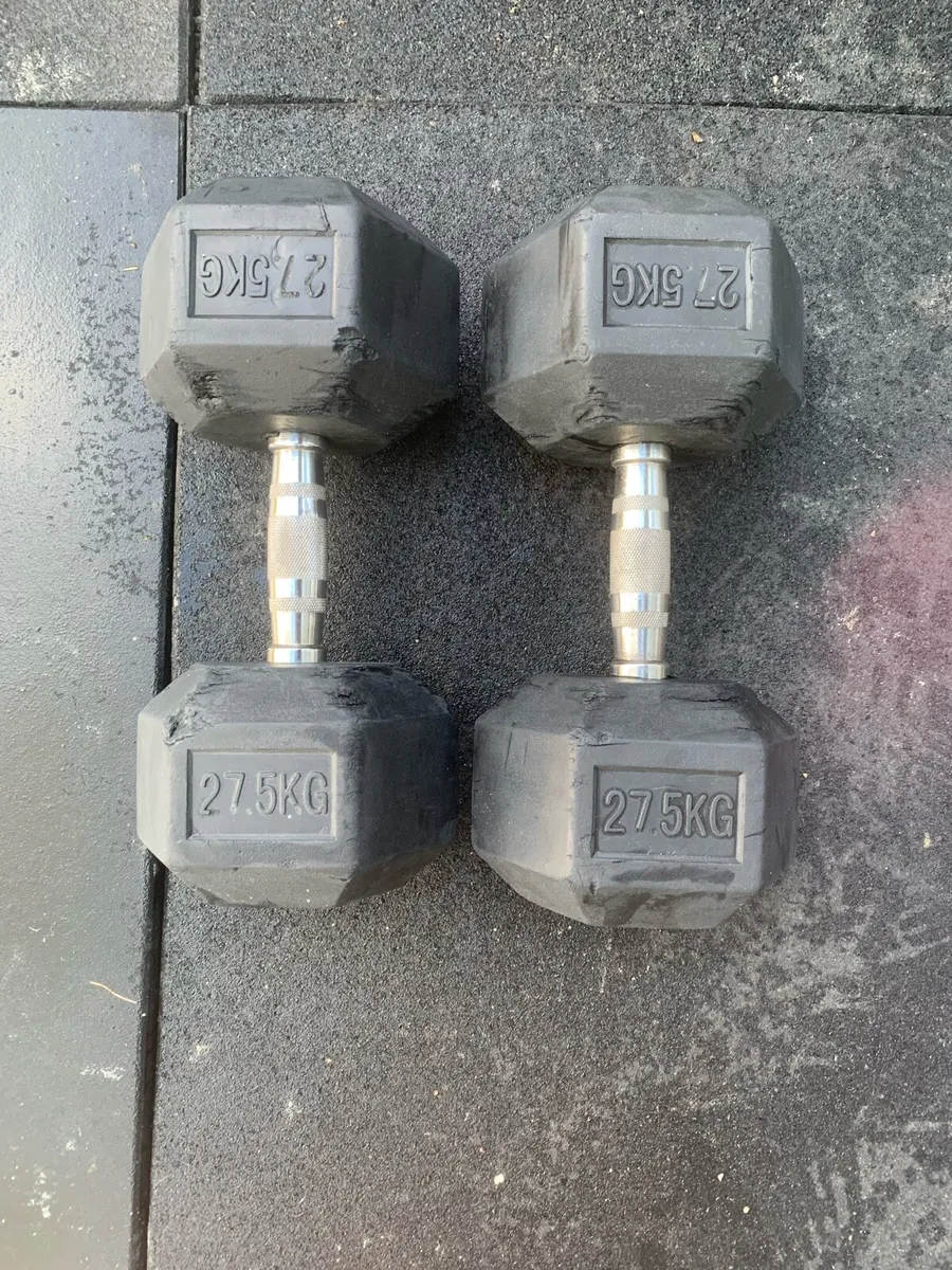Dumbbells Rubber Hex 27.5kg - Image 1