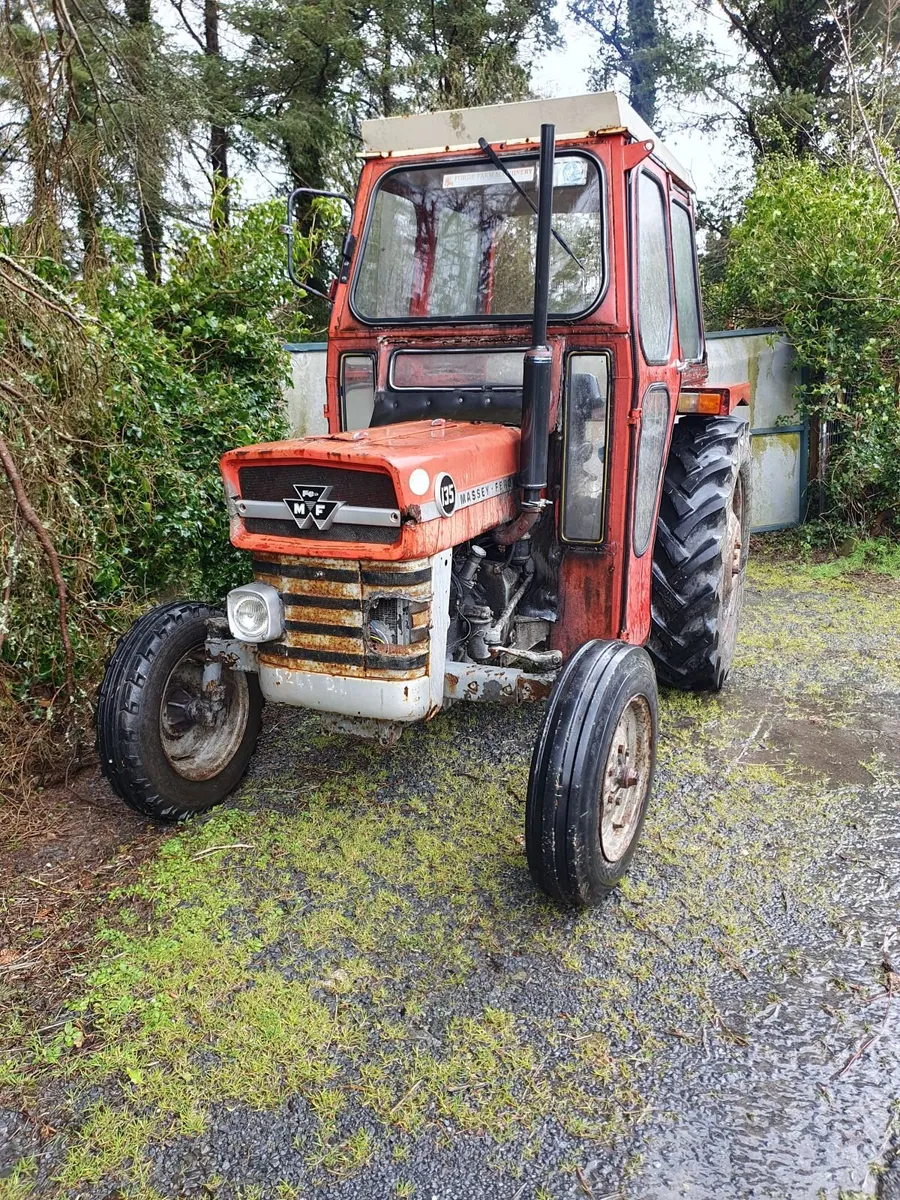 Massey Ferguson 135 - Image 1