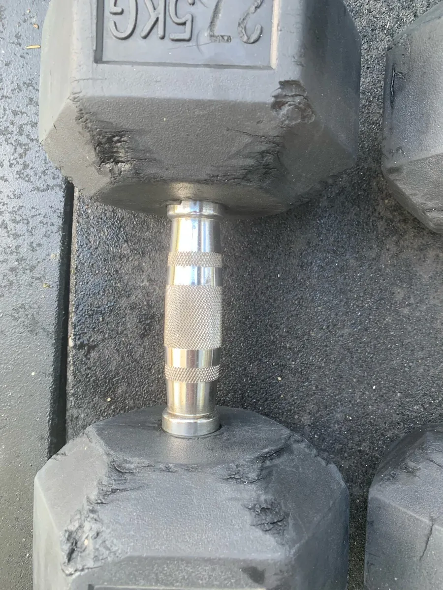 Dumbbells Rubber Hex 27.5kg - Image 3