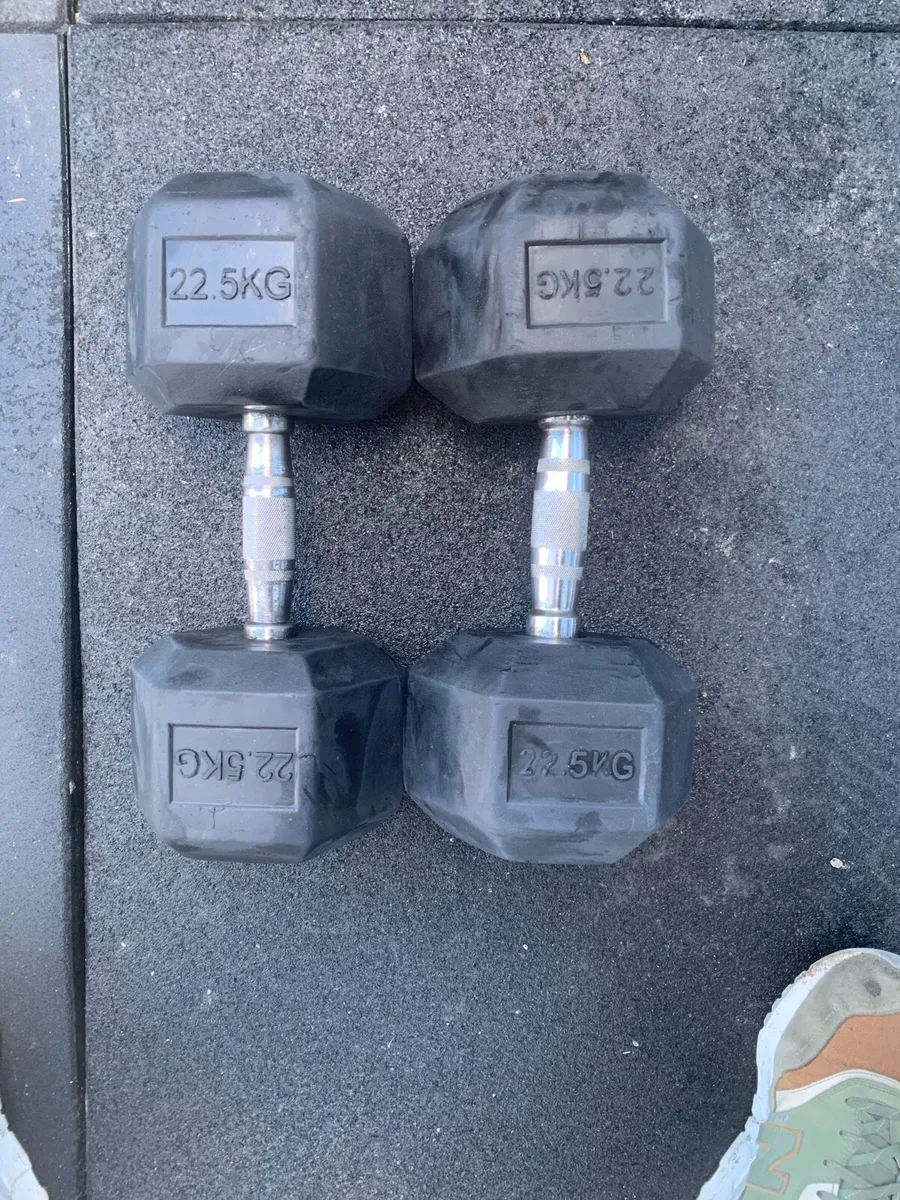 Dumbbells Rubber Hex 22.5kg - Image 1