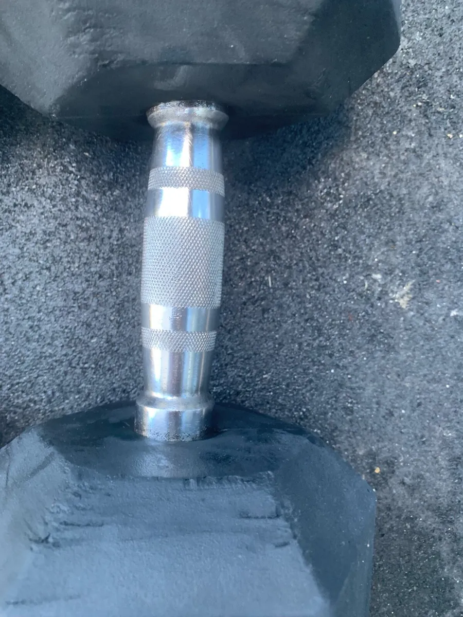Dumbbells Rubber Hex 22.5kg - Image 2