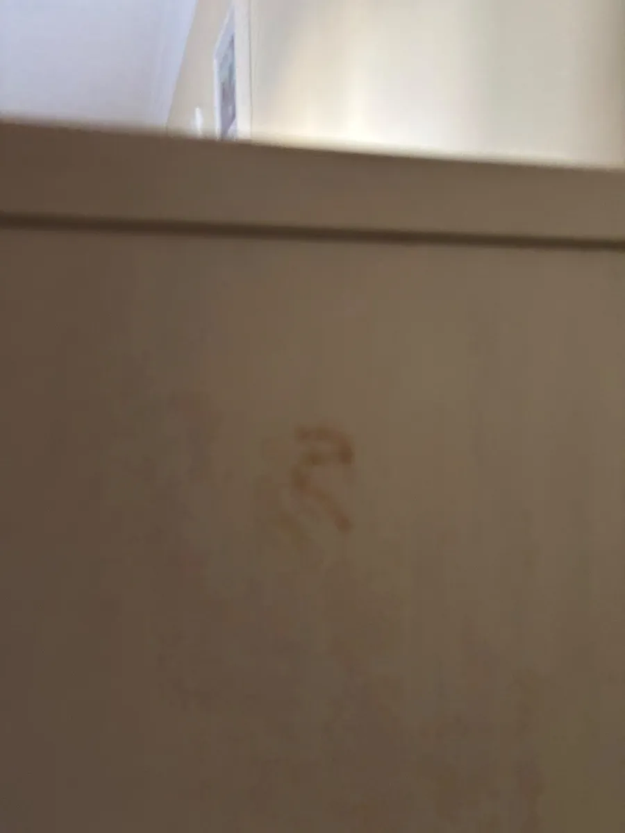 Shoe Cabinet - Image 4