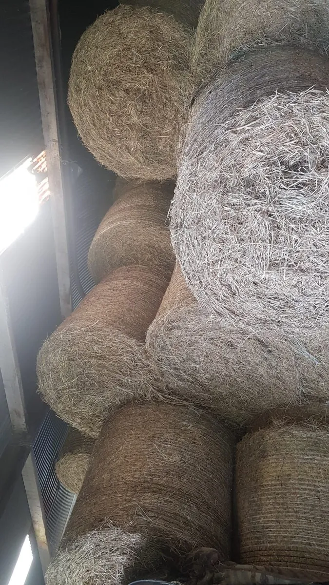 Bales of Hay and Silage - Image 3