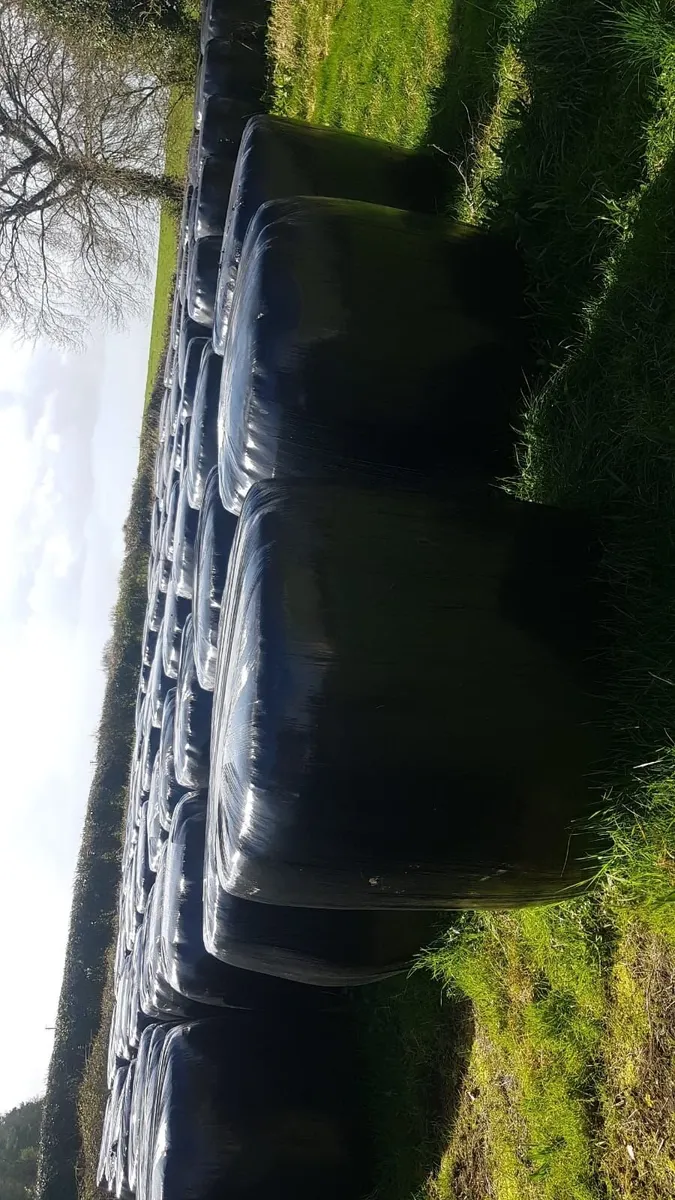 Bales of Hay and Silage - Image 4