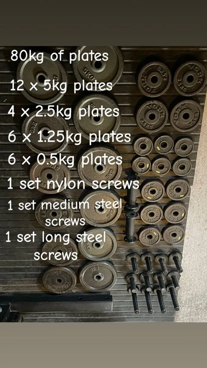 Adjustable Dumbbells with 80kg of plates - Image 1
