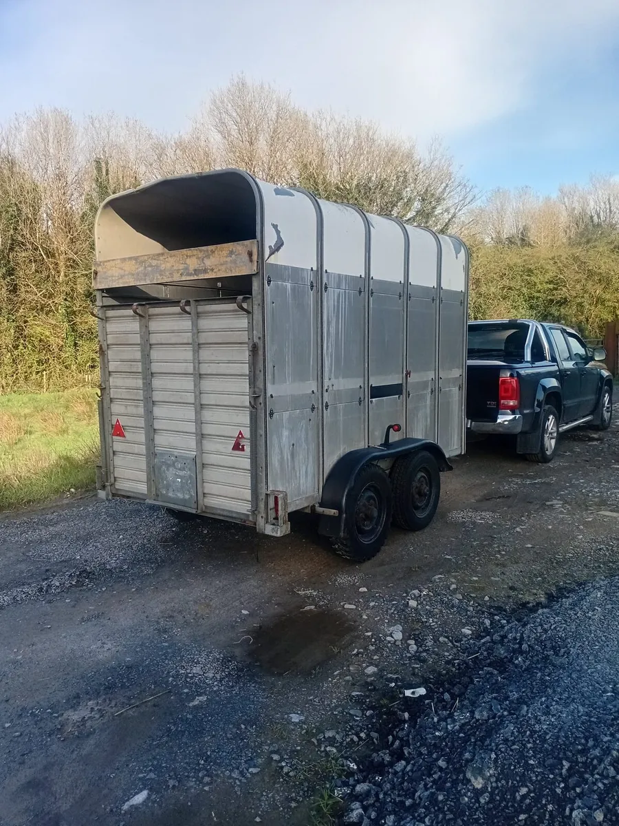 Cattle/Horse Trailer - Image 3