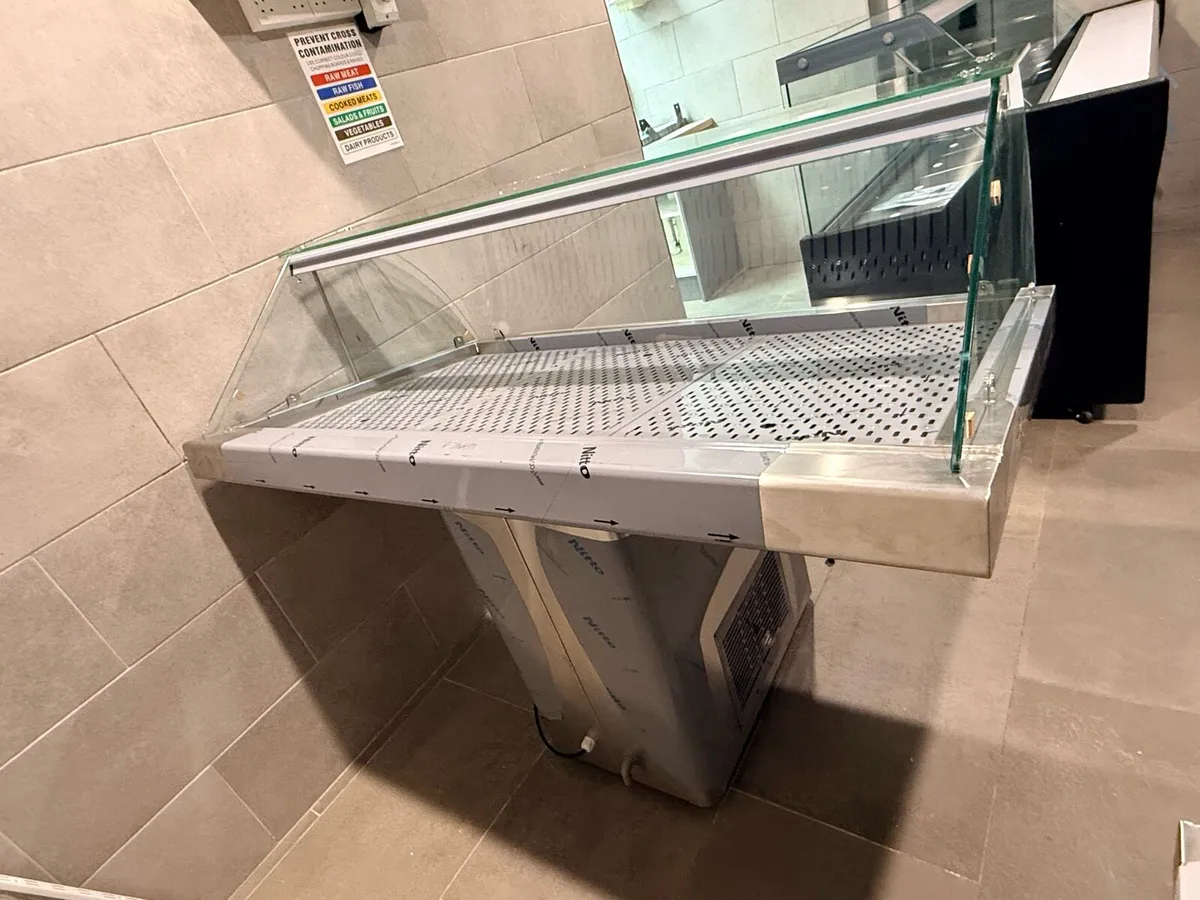 New Fish Displays - Image 3