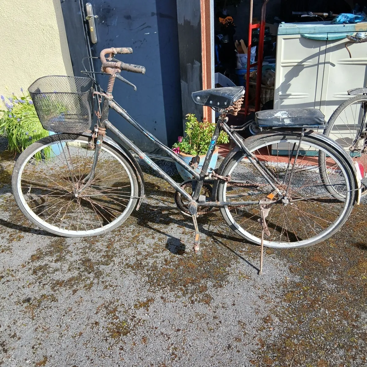 Vintage bicycles - Image 1