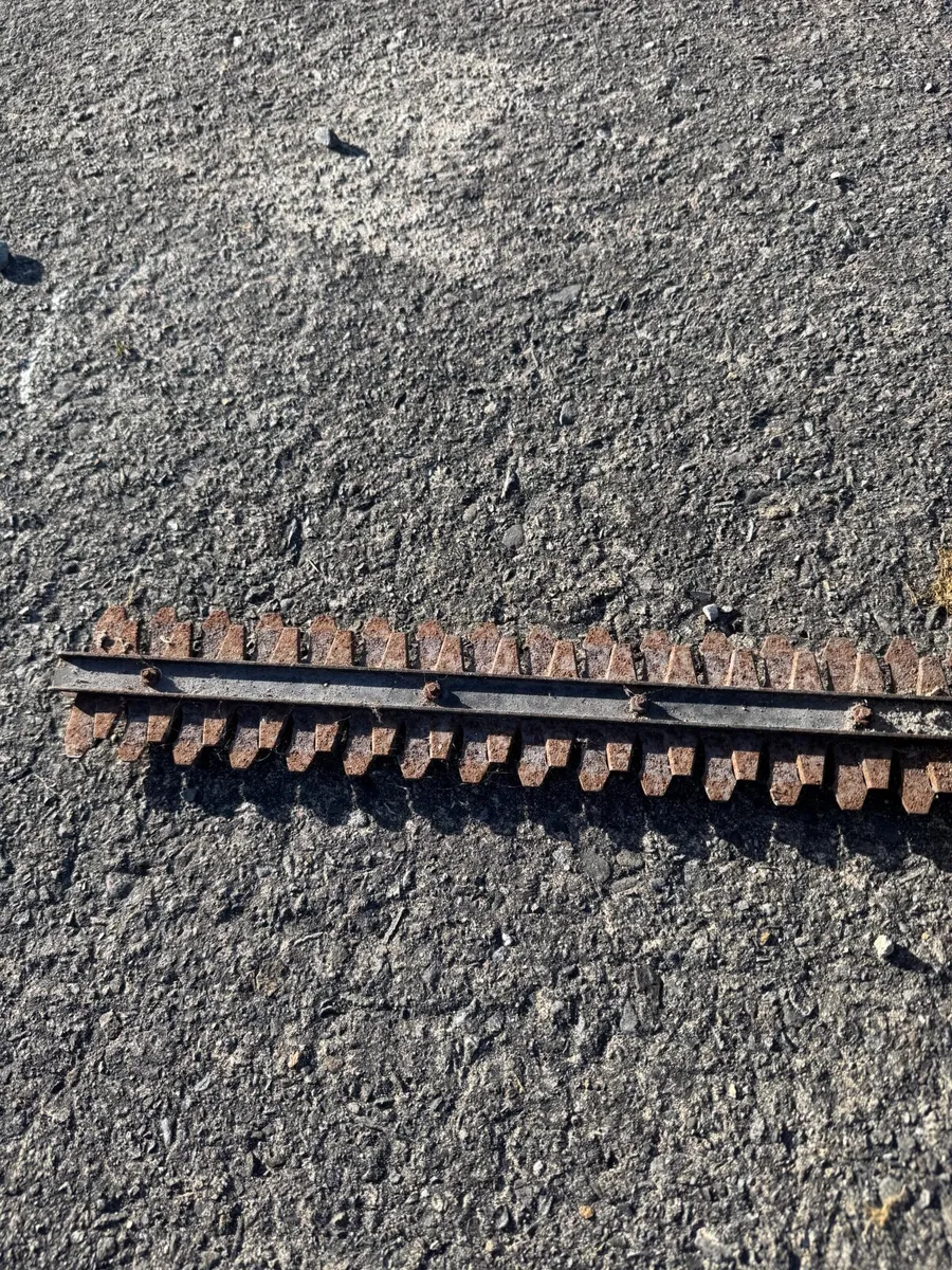 Black & Decker Electric Hedge trimmer - Image 3