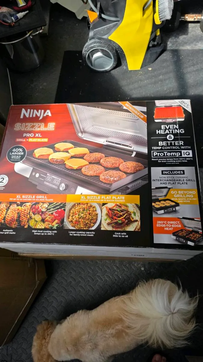 Ninja Sizzle Pro XL Grill & Flat Plate GX101UK