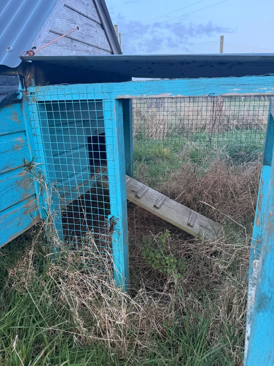 Chicken house - Image 2