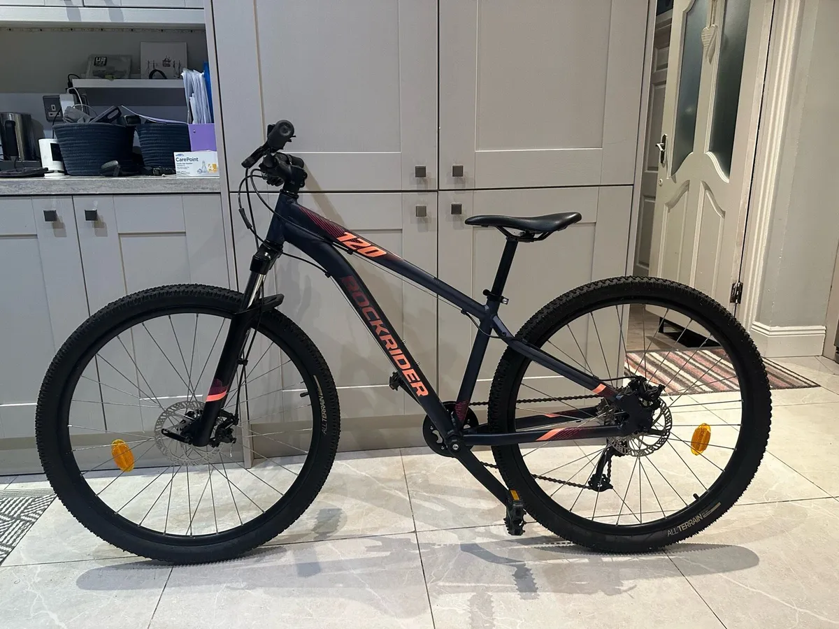 Ladies mountain bike - Image 1