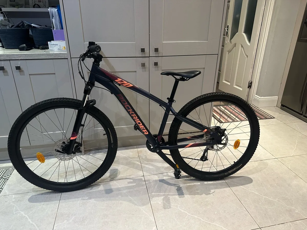 Ladies mountain bike - Image 2