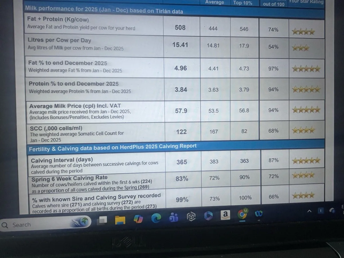 High €BI Heifer calves - Image 2
