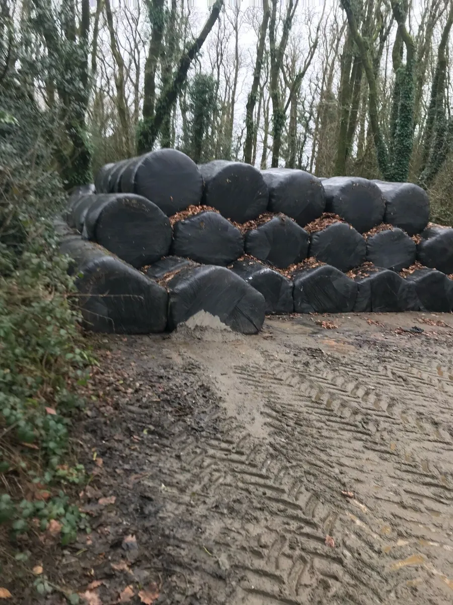 Silage bales - Image 2